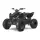 Квадроцикл Linhai ATV 110  купити в Україні