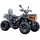 Квадроцикл FORTE AFC-250 PRO (Черный), фото 