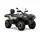 Квадроцикл LONCIN XWOLF550L  купити в Україні