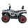 Квадроцикл Forte ATV-200BS PRO (серый), фото 