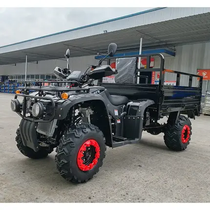 Квадроцикл FORTE ATV-250BS-T Чорний фото 2 купити в Україні