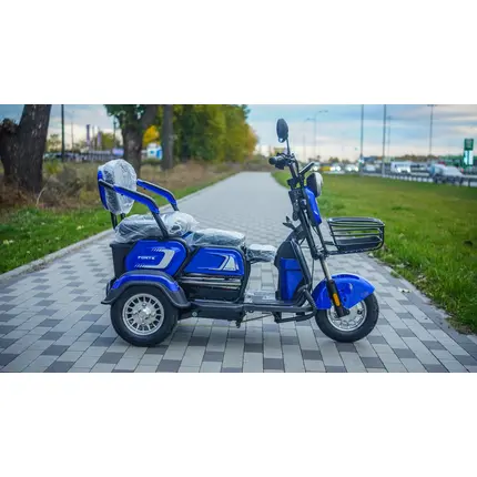 Електроскутер Forte FAMILY-WS600 Синій фото 2 купити в Україні