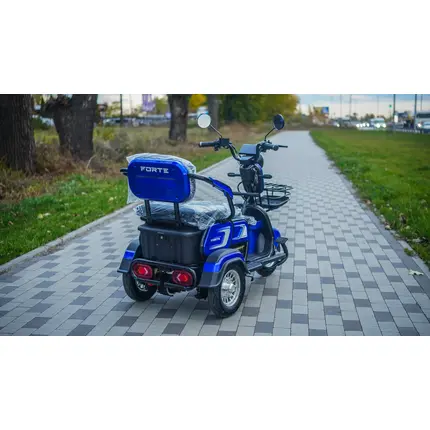 Електроскутер Forte FAMILY-WS600 Синій фото 3 купити в Україні