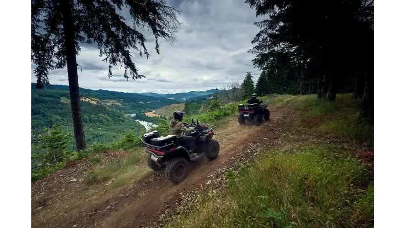 Квадроцикл CFMOTO CFORCE 1000 OVERLAND (бежевый), фото фото 5