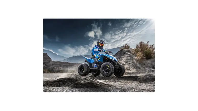 Квадроцикл CFMOTO CFORCE 110 (синий), фото фото 4