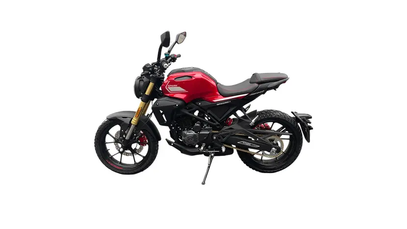Мотоцикл Spark SP300SC-1 Scrambler (зелений) фото 2 купити в Україні