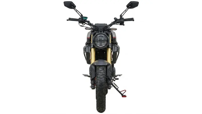 Мотоцикл Spark SP300SC-1 Scrambler (серый), фото фото 2