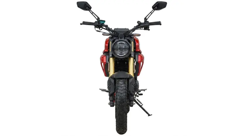 Мотоцикл Spark SP300SC-1 Scrambler (красный), фото фото 3