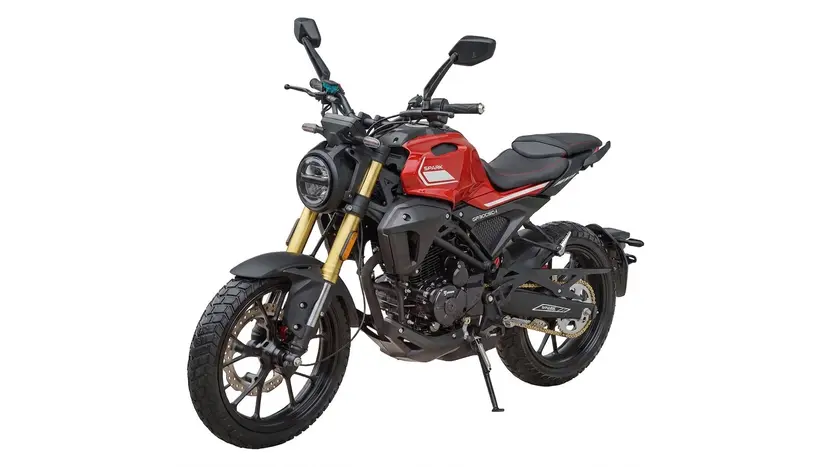 Мотоцикл Spark SP300SC-1 Scrambler (красный), фото фото 4