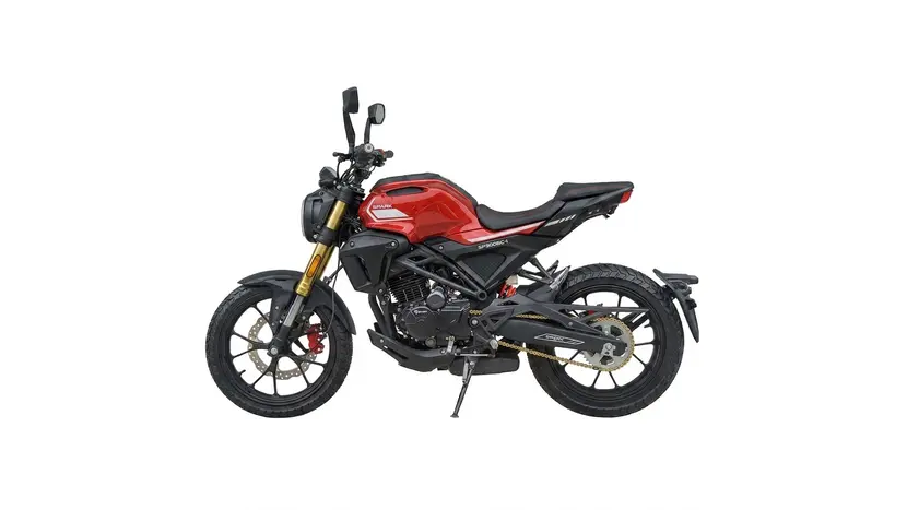 Мотоцикл Spark SP300SC-1 Scrambler (красный), фото фото 5