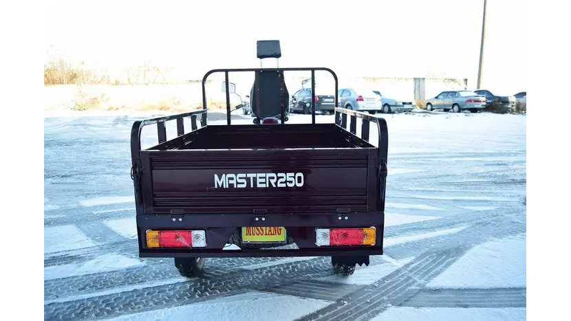 Вантажний мотоцикл Musstang MT250-4V фото 21 купити в Україні