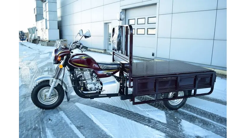 Вантажний мотоцикл Musstang MT250-4V фото 23 купити в Україні