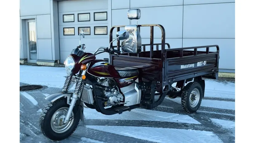 Вантажний мотоцикл Musstang MT250-4V фото 17 купити в Україні