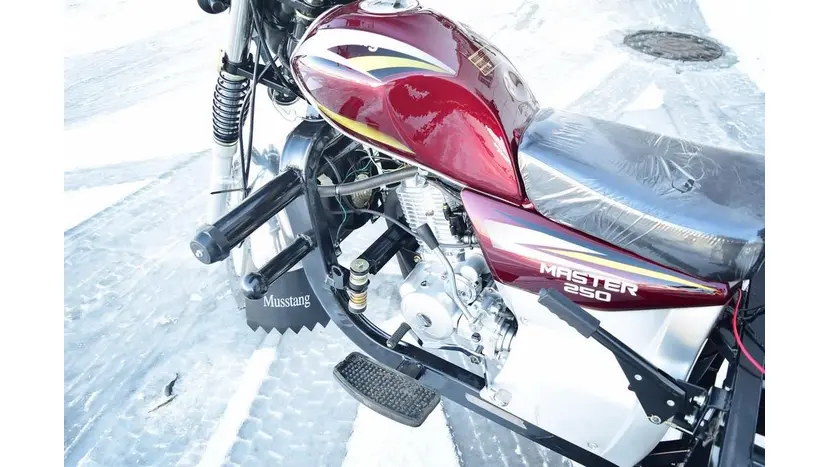Вантажний мотоцикл Musstang MT250-4V фото 33 купити в Україні