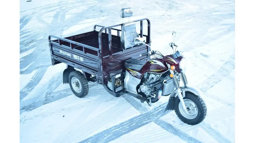 Вантажний мотоцикл Musstang MT250-4V фото 35 купити в Україні