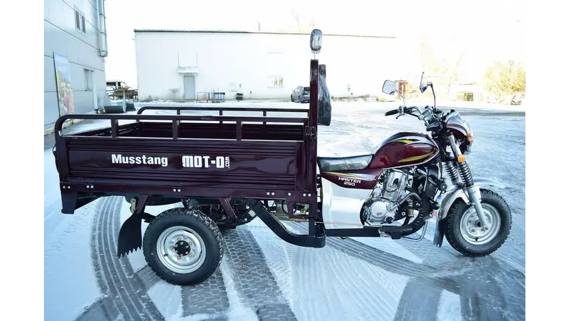 Вантажний мотоцикл Musstang MT250-4V фото 20 купити в Україні