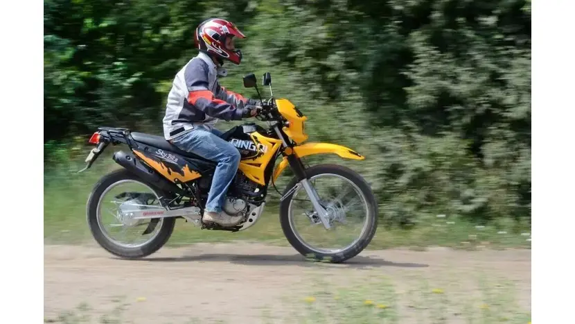 Мотоцикл Skybike LIGER I 200 QINGQI фото 16 купити в Україні