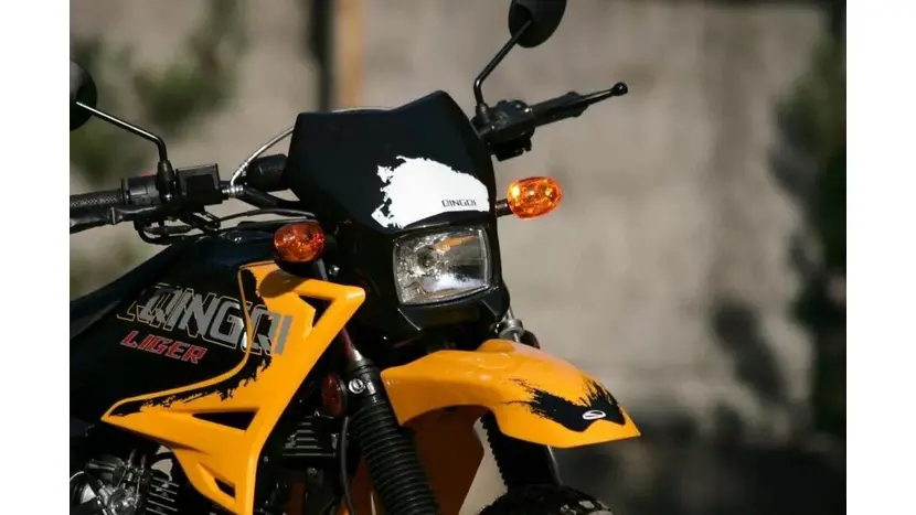 Мотоцикл Skybike LIGER I 200 QINGQI фото 10 купити в Україні