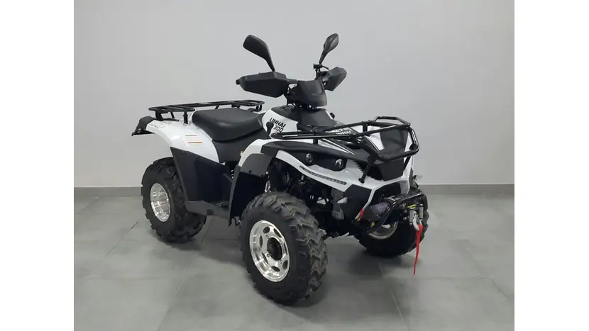 Квадроцикл LINHAI LH300 ATV-3D PROMAX (Белый), фото фото 2