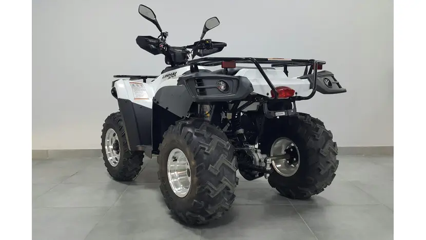 Квадроцикл LINHAI LH300 ATV-3D PROMAX (Белый), фото фото 3