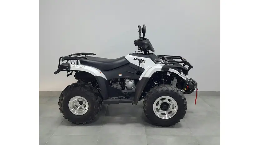 Квадроцикл LINHAI LH300 ATV-3D PROMAX (Белый), фото фото 5