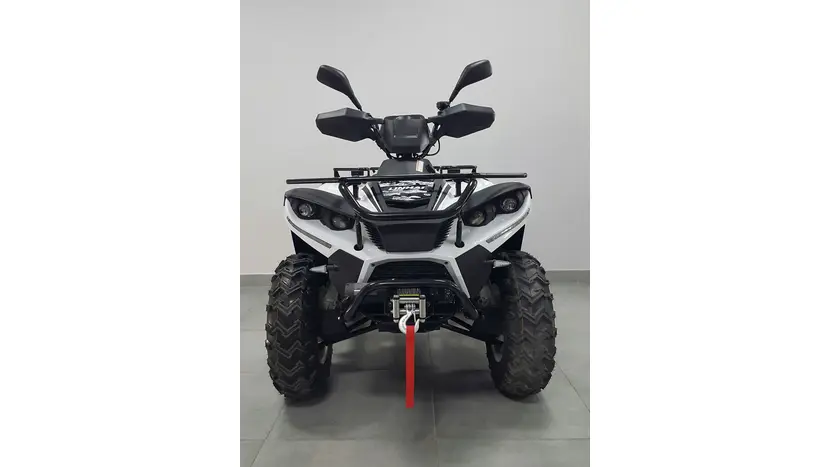 Квадроцикл LINHAI LH300 ATV-3D PROMAX (Белый), фото фото 6