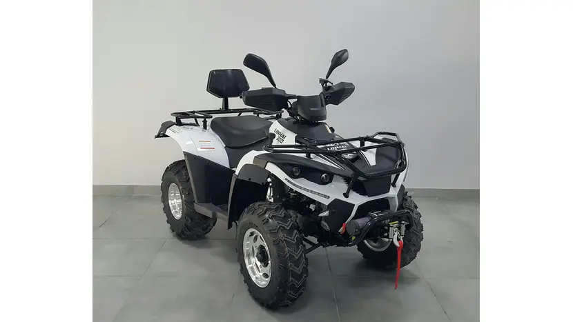 Квадроцикл LINHAI LH300 ATV-3D PROMAX (Белый), фото фото 8