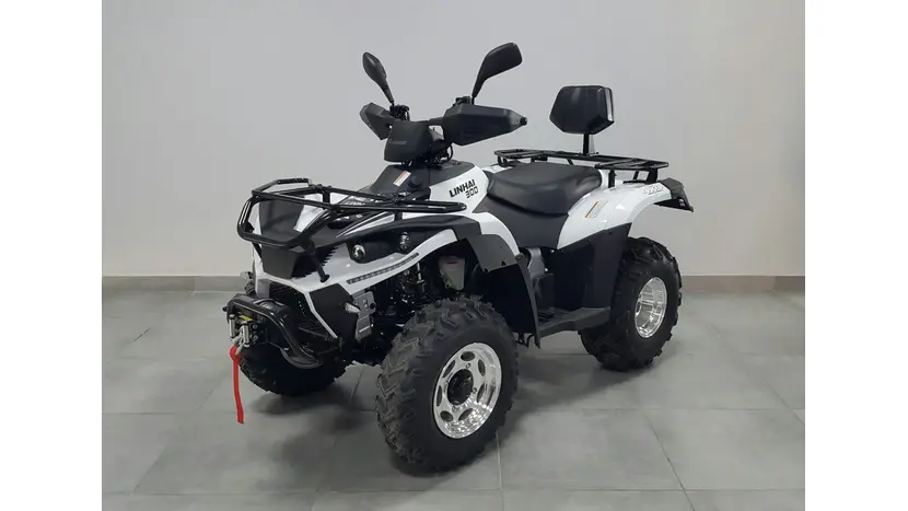 Квадроцикл LINHAI LH300 ATV-3D PROMAX (Белый), фото фото 9