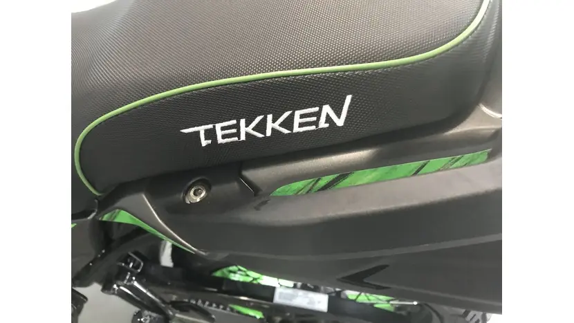Мотоцикл TEKKEN 250 Зеленый (Тип шин Dual Sport), фото фото 10