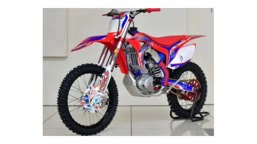 Мотоцикл BSE M250 ENDURO (красно-синий), фото фото 2