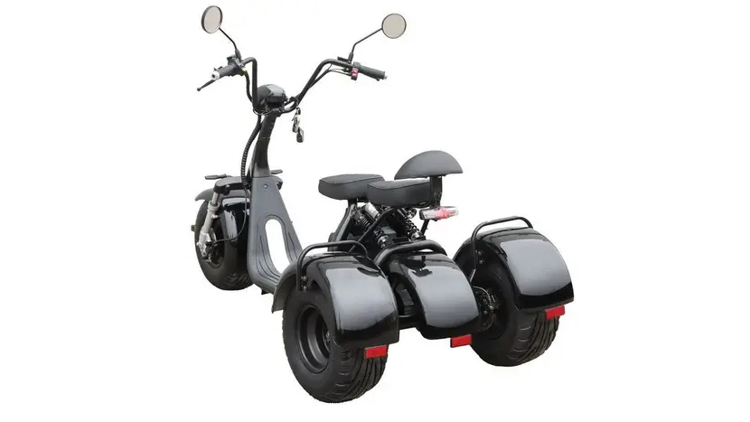 Электроскутер Maxxter Trike, 1000Вт (чёрный), фото фото 2