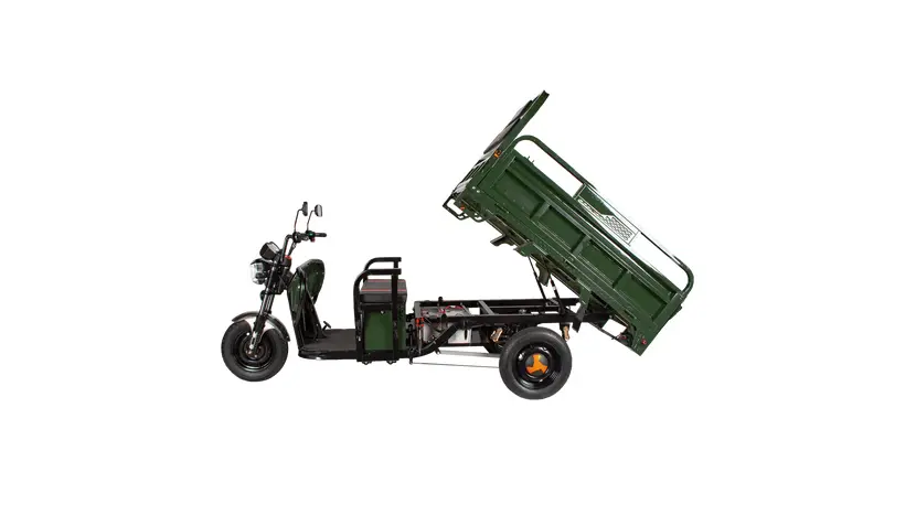 Трицикл электрический грузовой TRIGO JJ1.6 1000W/60V/35AH(DZM) (зеленый), фото фото 2