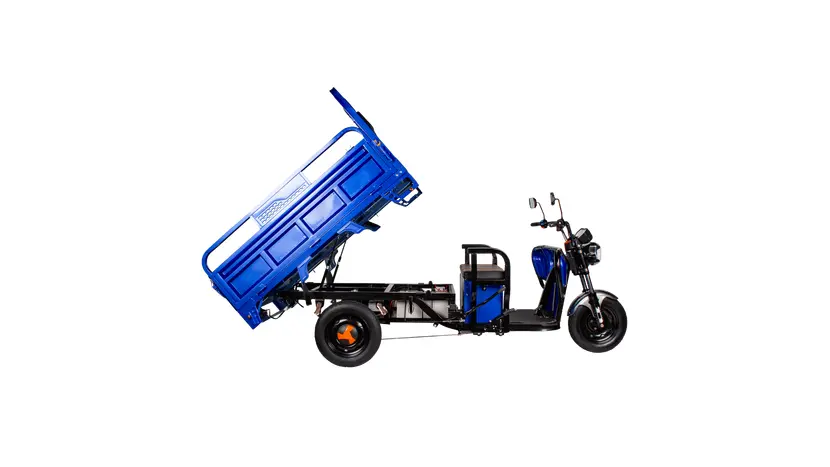 Трицикл электрический грузовой TRIGO JJ1.6 1000W/60V/50AH(DZM) (синий), фото фото 3