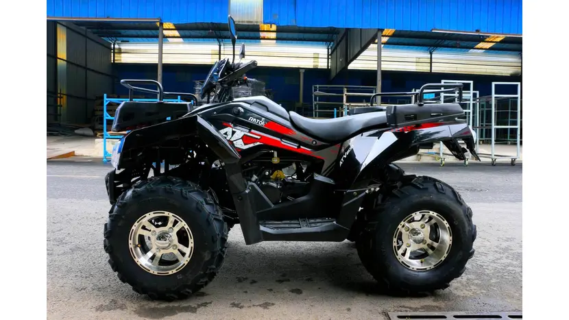 Квадроцикл Rato ATV 200 Premium фото 5 купити в Україні