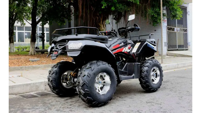 Квадроцикл Rato ATV 200 Premium фото 10 купити в Україні