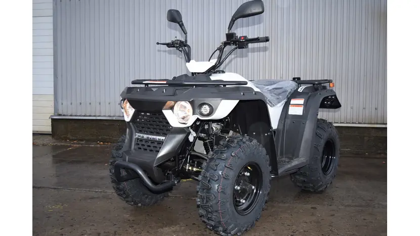 Квадроцикл Linhai Eyas М150 фото 2 купити в Україні