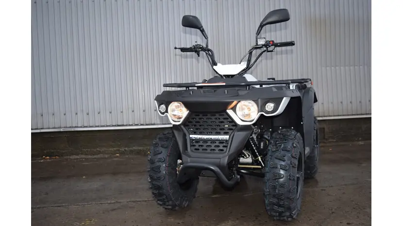 Квадроцикл Linhai Eyas М150 фото 3 купити в Україні