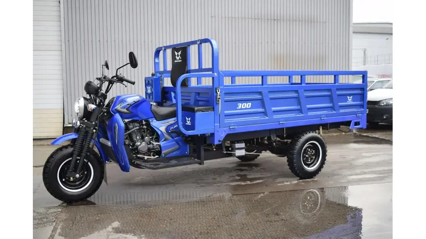 Вантажний мотоцикл Zongshen ZS300ZH фото 19 купити в Україні