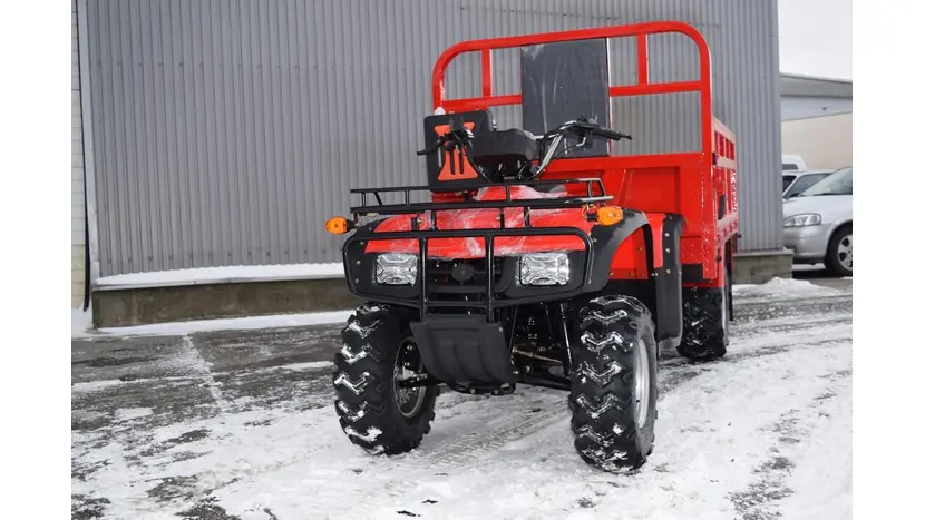 Вантажний квадроцикл Renegade ATW-300CC фото 2 купити в Україні