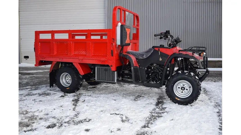 Вантажний квадроцикл Renegade ATW-300CC фото 21 купити в Україні