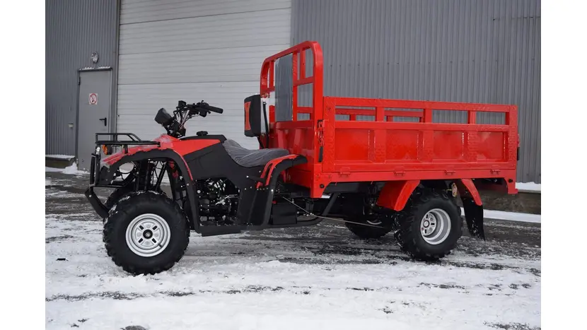 Вантажний квадроцикл Renegade ATW-300CC фото 4 купити в Україні