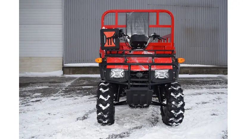 Вантажний квадроцикл Renegade ATW-300CC фото 5 купити в Україні