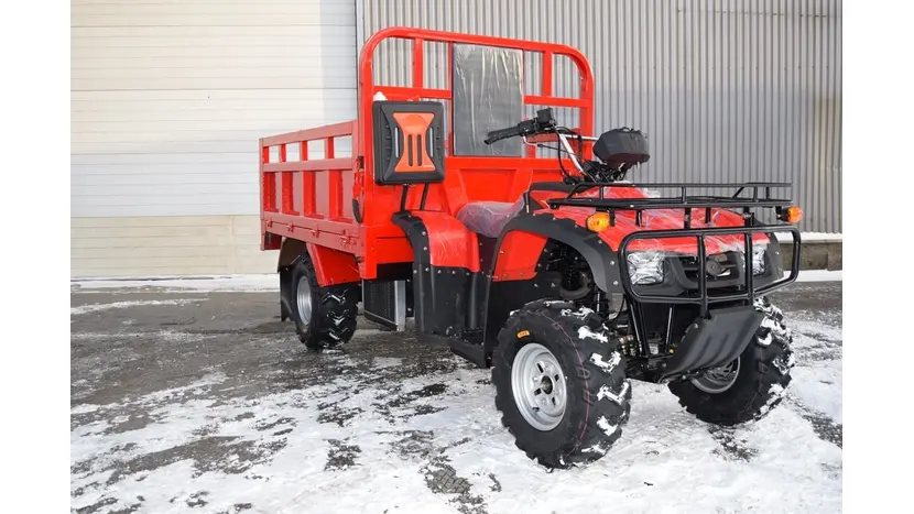 Вантажний квадроцикл Renegade ATW-300CC фото 6 купити в Україні
