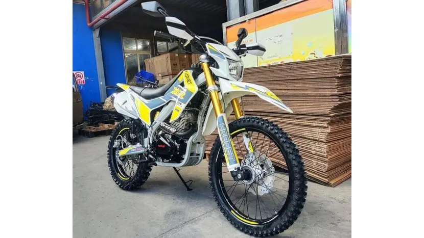 Мотоцикл Hornet Dakar Pro 250 фото 3 купити в Україні