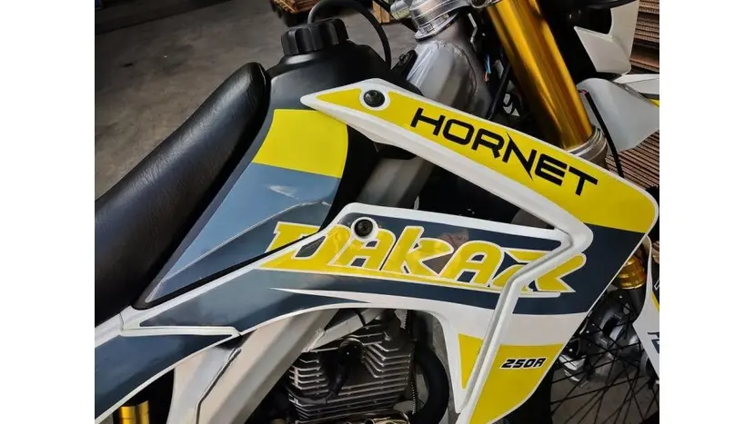Мотоцикл Hornet Dakar Pro 250 фото 9 купити в Україні
