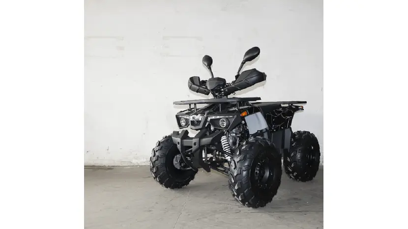 Квадроцикл Forte ATV125L (чорний) фото 3 купити в Україні