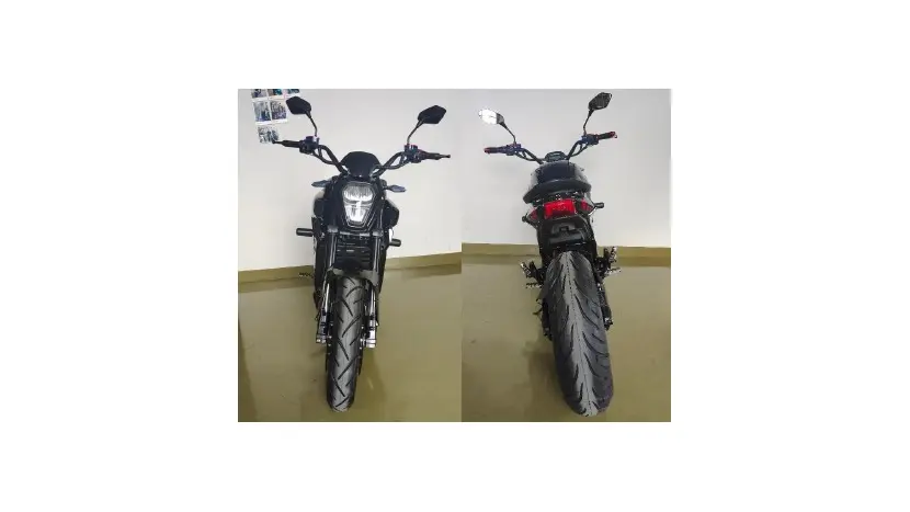 Електричний мотоцикл Renegade DMG Standard фото 4 купити в Україні