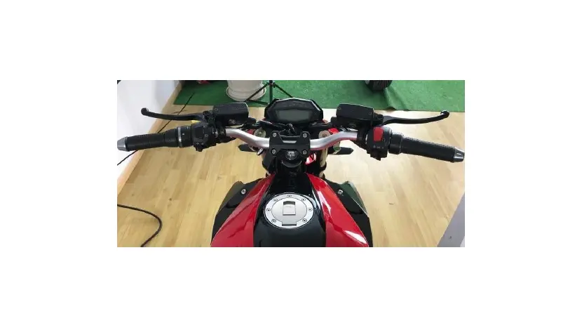 Электрический мотоцикл Renegade DMS STD, фото фото 6