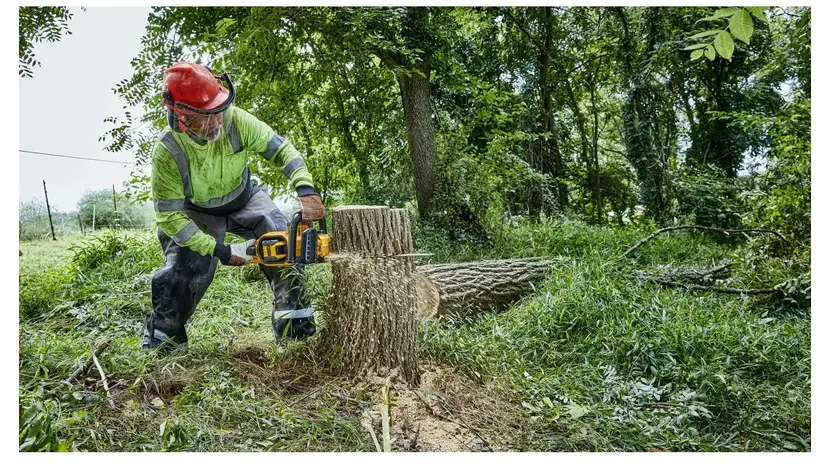Пила цепная аккумуляторная бесщёточная DeWALT DCMCS574X1, фото фото 7