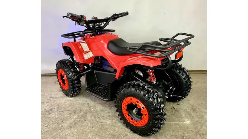 Электроквадроцикл Forte ATV1000RB (красный), фото фото 3